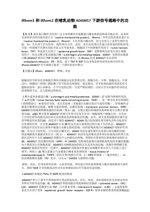 iRhom1和iRhom2在哺乳动物ADAM17下游信号通路中的功能