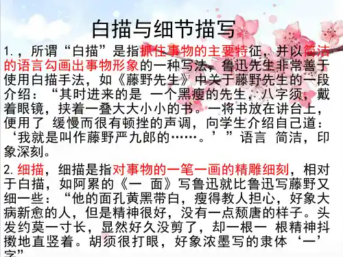 白描与细节描写 例子丰富 实用性强精品PPT课件