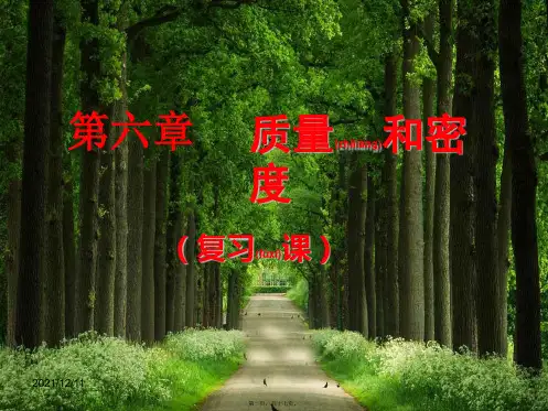 中考物理一轮复习 质量和密课件