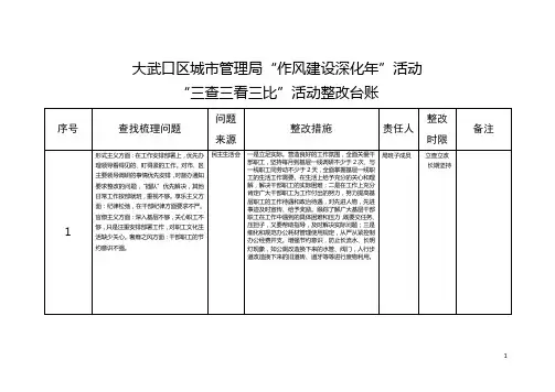 大武口区城管理局作风建设深化年活动