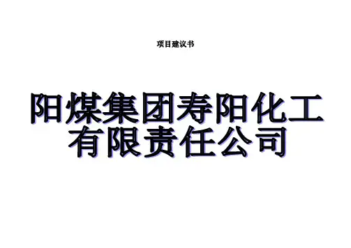 项目建议书