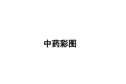 执业药师-中药彩图