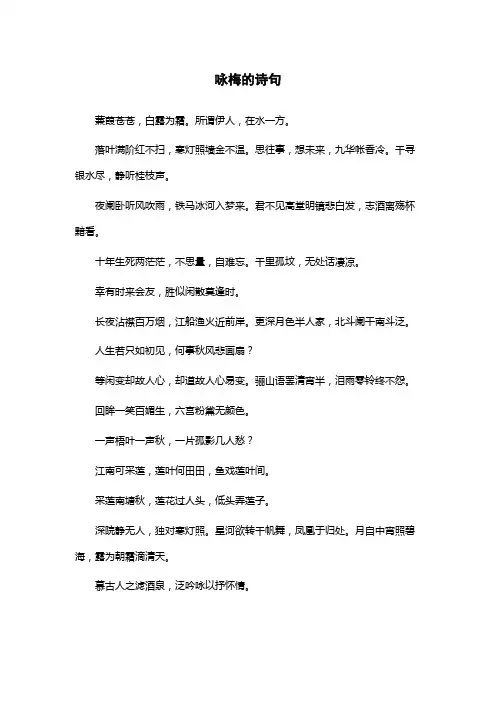 咏梅的诗句