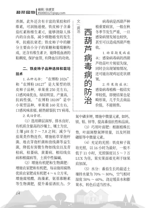 西葫芦病毒病的防治