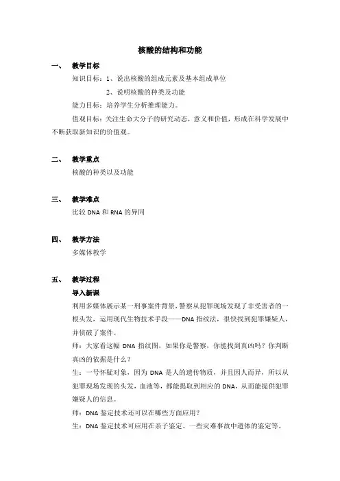 核酸的结构和功能