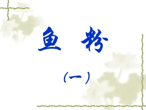 鱼粉1