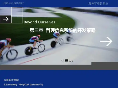管理系统中计算机应用_第三章_管理信息系统的开发策略