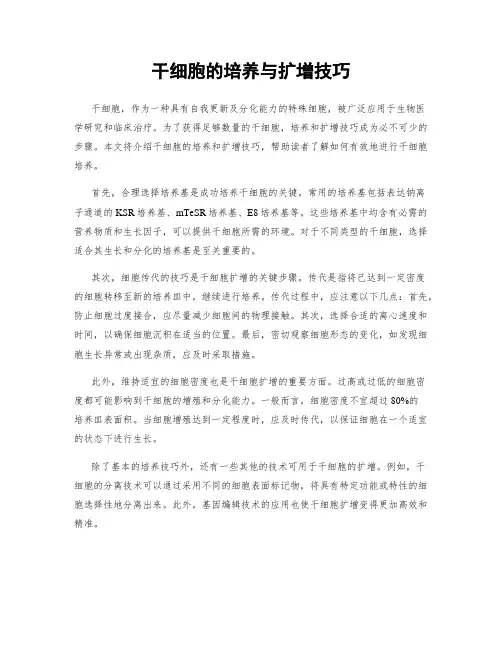 干细胞的培养与扩增技巧