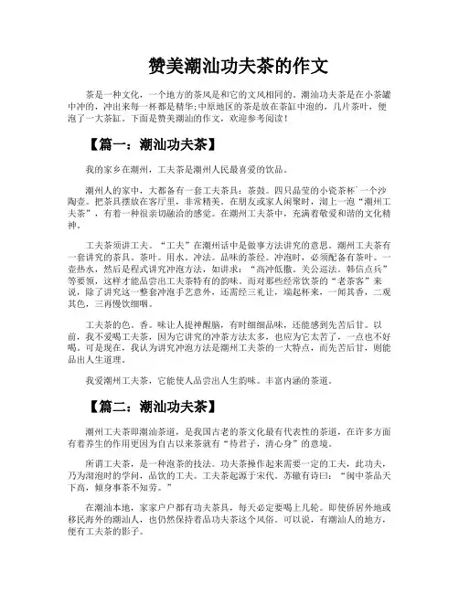 赞美潮汕功夫茶的作文
