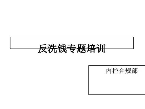 团险反洗钱培训