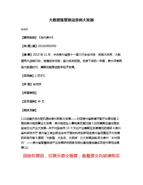 大数据集聚推动贵州大发展