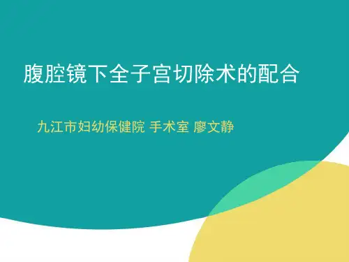 腹腔镜下全子宫切除术讲解