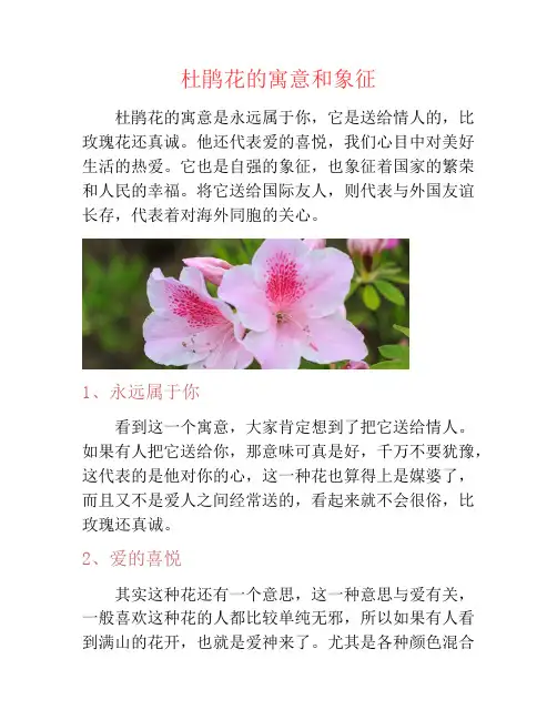 杜鹃花的寓意和象征