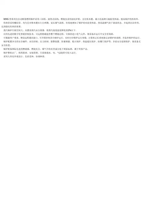 WNS型系列全自动醇基燃料锅炉采用三回程