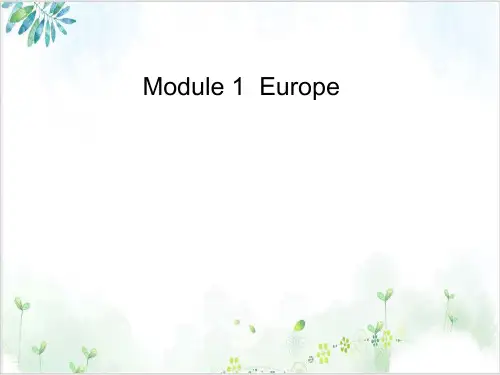 外研版高中英语必修三Module 1 Europe reading and vocabulary(2
