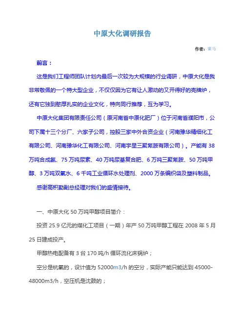 中原大化调研报告