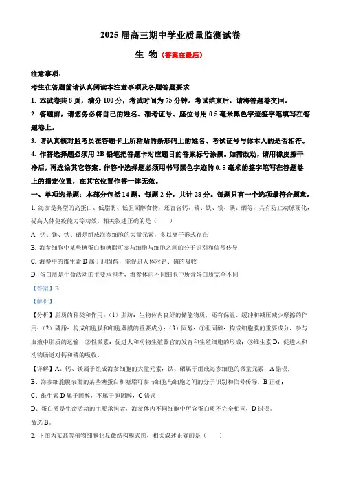 江苏省南通市海安市2024-2025学年高三上学期11月期中学业质量监测生物试题含答案
