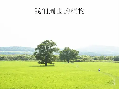 我们身边的植物