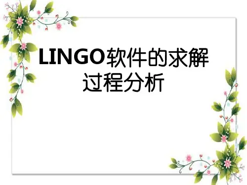 LINGO软件的求解过程分析