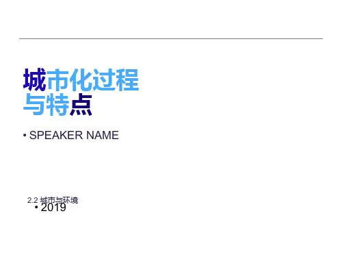 城市化过程与特点PPT课件
