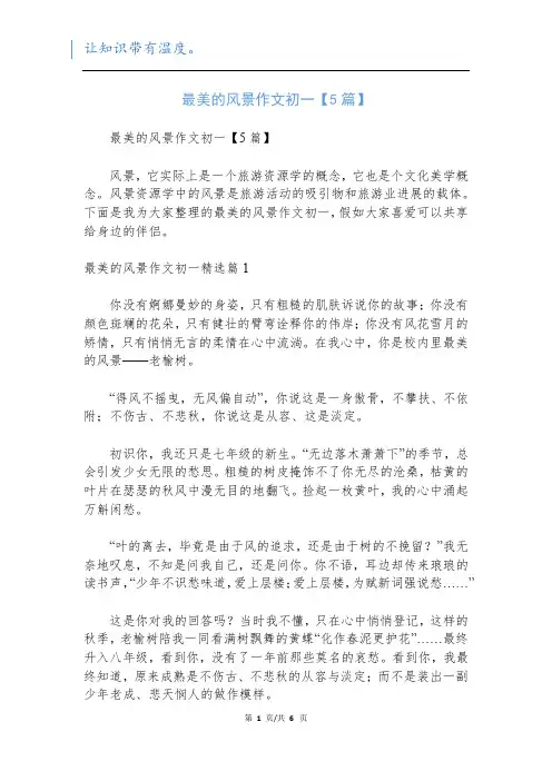 最美的风景作文初一【5篇】