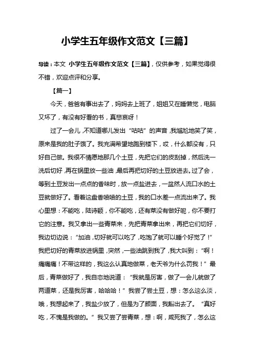 小学生五年级作文范文【三篇】