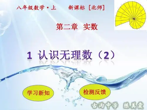 1无理数的认识(第2课时)