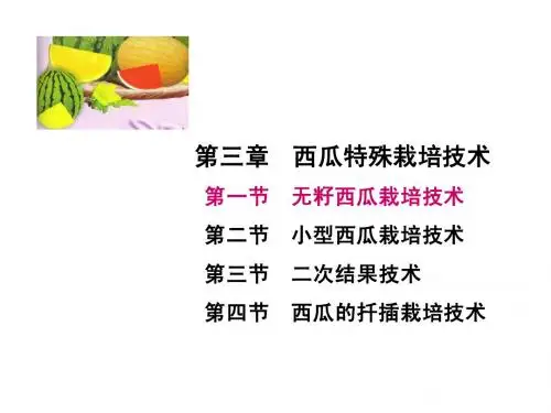 西瓜课件