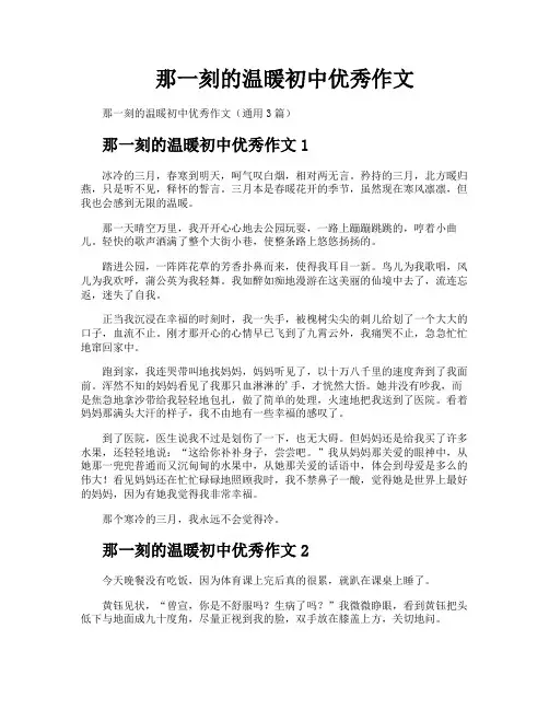 那一刻的温暖初中优秀作文