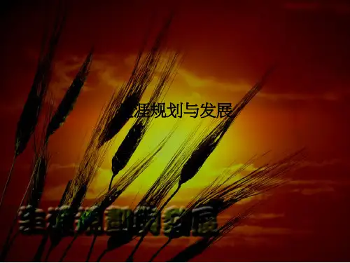 生涯规划与发展PPT课件