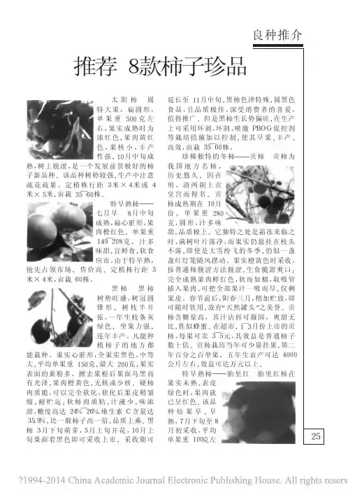 推荐8款柿子珍品_