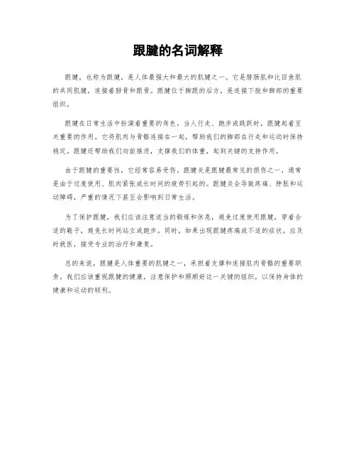 跟腱的名词解释