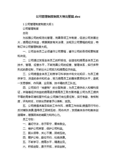 公司管理制度制度大纲完整篇.doc