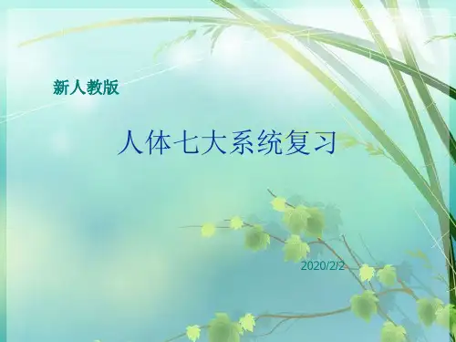 初中生物_人体七大系统复习 PPT课件 图文