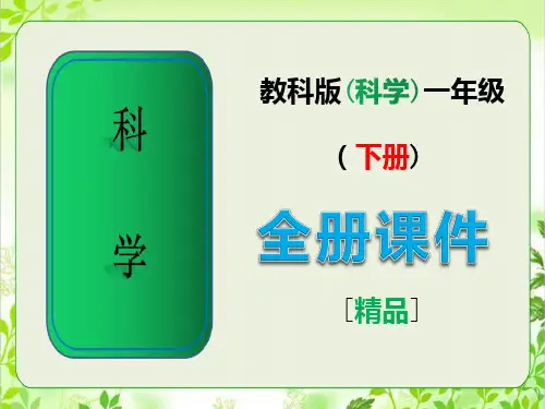 《教科版》一年级科学下册全册课件(完整版)