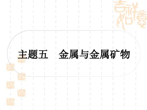 中考化学精练本 第一部分 考点过关练 主题五 金属与金属矿物