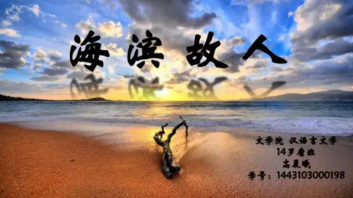海滨故人