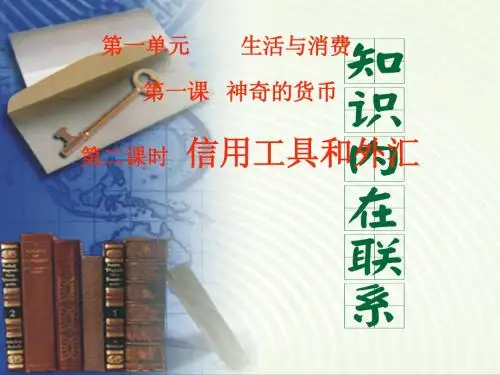 信用工具和外汇 ppt课件9