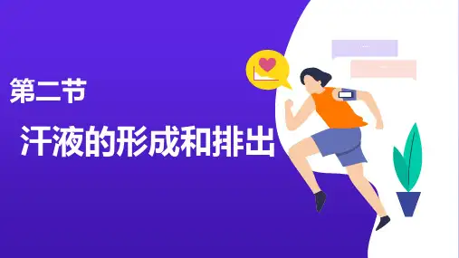 汗液的形成和排出-七年级下册生物课件(济南版)