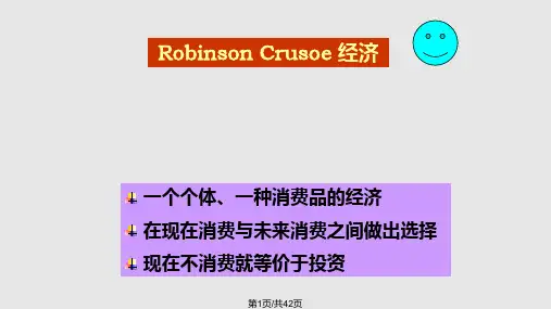 金融经济学资本市场消费和投资PPT课件