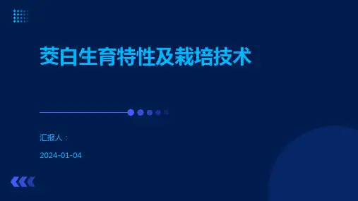 茭白生育特性及栽培技术