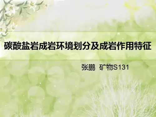 碳酸盐岩成岩环境划分及成岩作用特征详解