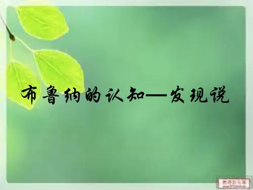 布鲁纳的认知—发现说