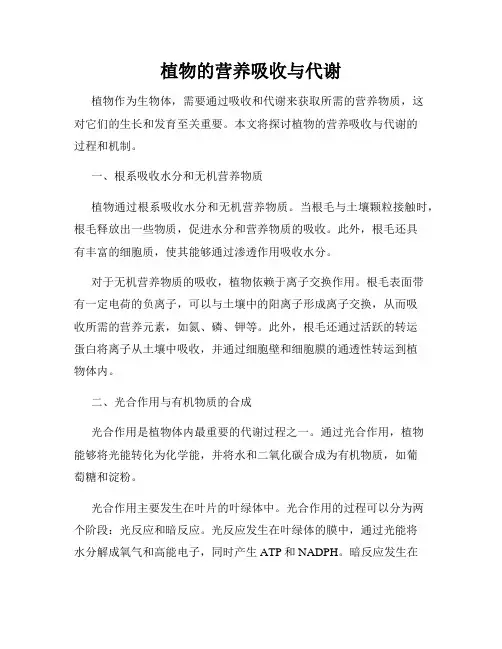 植物的营养吸收与代谢