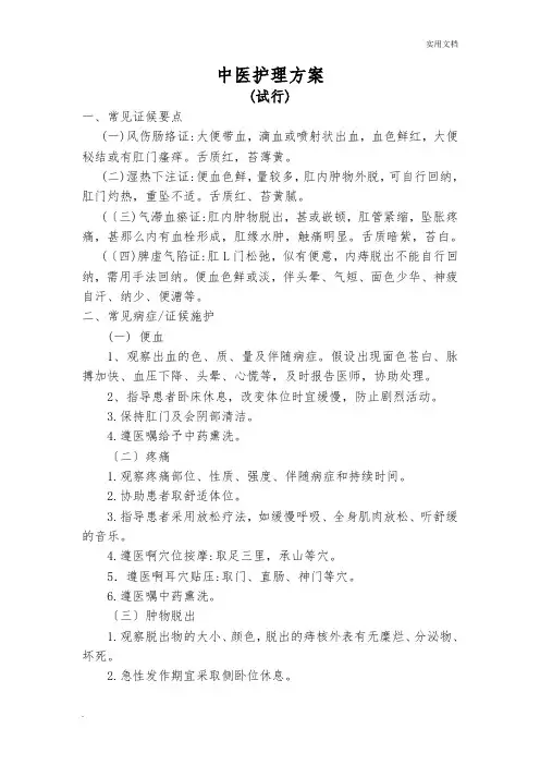 中医护理方案