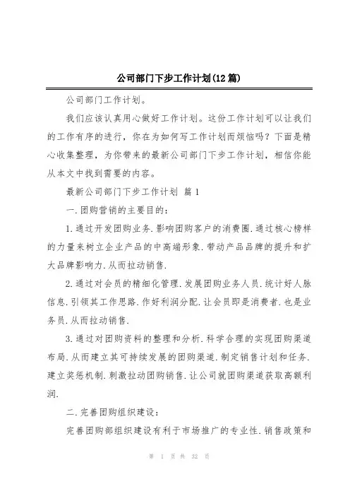 公司部门下步工作计划(12篇)