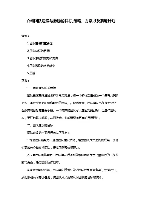 介绍团队建设与激励的目标,策略、方案以及落地计划