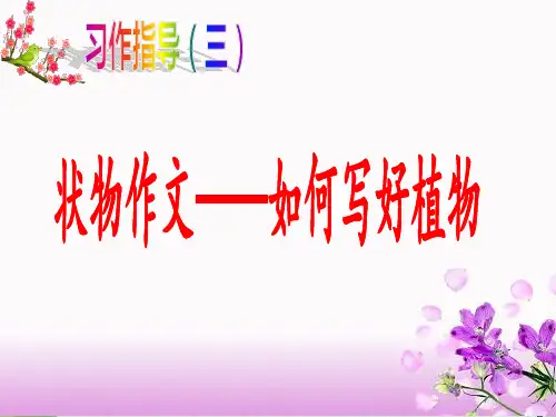 作8写植物作文(共17张PPT)人教(部编版)【完美版课件】