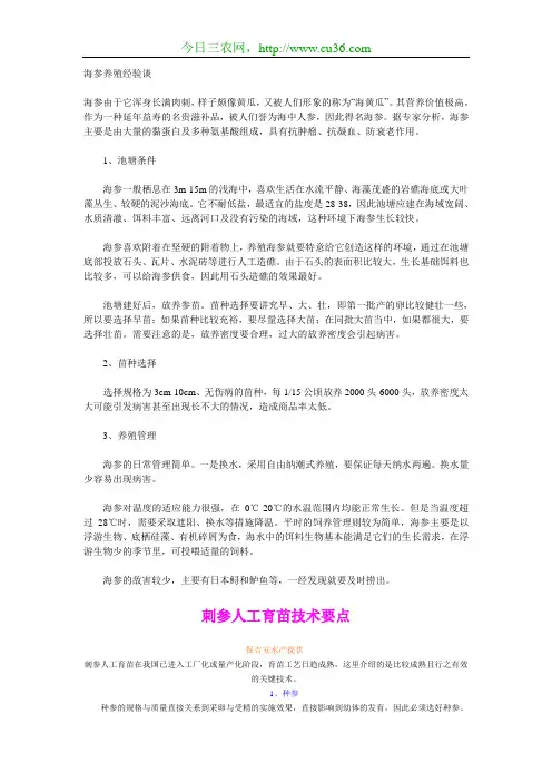 海参养殖经验谈
