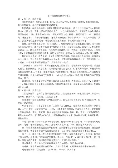 那一次我真震撼初中作文
